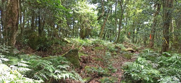 遠望的鵝公髻山步道，細雨而來1747339