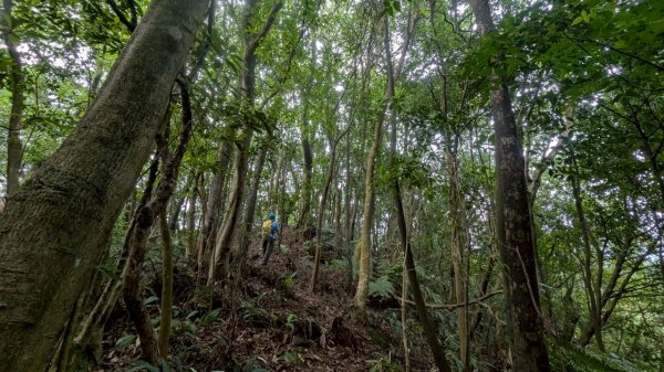 114.05.17聖人崙-聖人瀑布之旅2789521