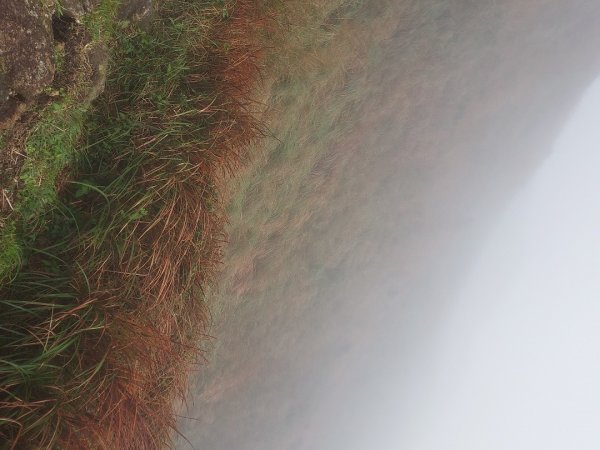 小油坑～七星山～冷水坑～擎天崗1940741