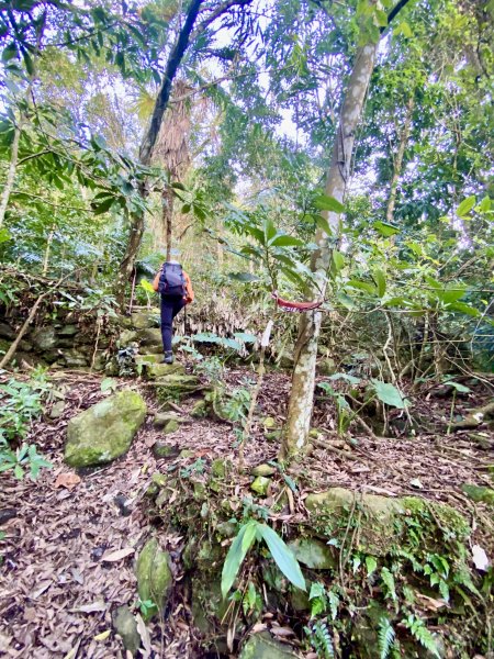 洗水山北峰.細道邦山(南峰)輕鬆撿--雲海花海看飽看滿   2022/2/101607005