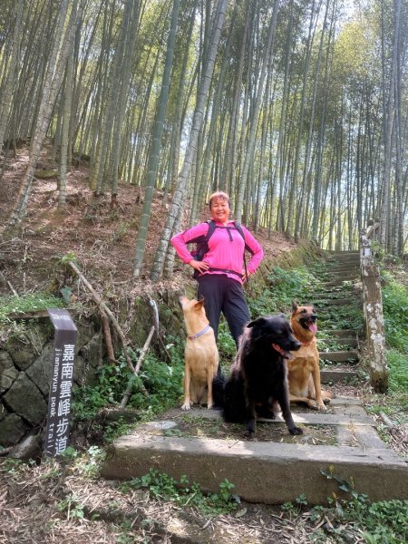 嘉南雲峰、九穹神木3014489