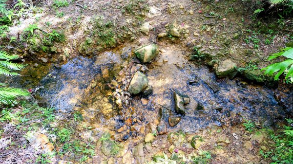 柯子林保甲路,如意湖,五指山古道2848893