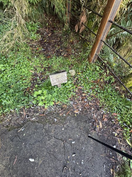 20251225塔山步道(大塔山)2970415