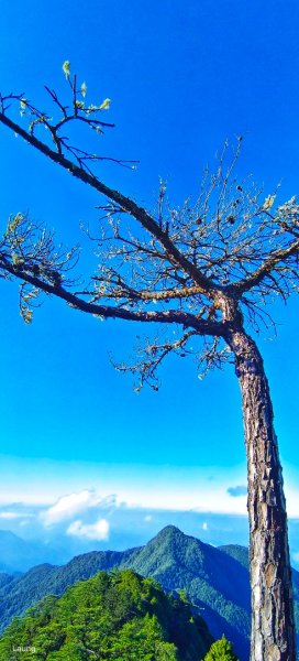 111.12.10 鳶嘴山-稍來山 A進B出1946813