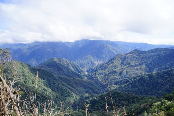 新竹關西鎮 水田林道之貴妃&那結山連走1539721