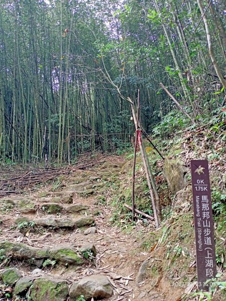 四訪苗栗的花果山-小百岳#037馬那邦山、雪霸國家公園管理處【小百岳集起來、苗栗-臺灣百大必訪步道】2394375