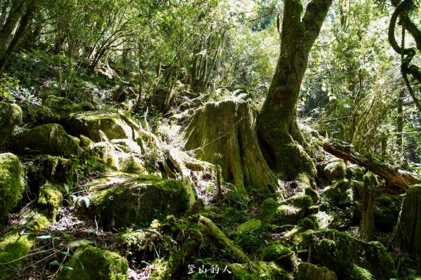 霞山鐵道野營2843120