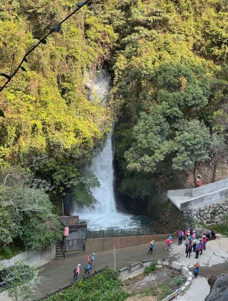 能高瀑布 福興山尋血藤3022542