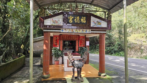 20260224興基坑古道-淡基橫斷古道-界寮縱走o型3007558