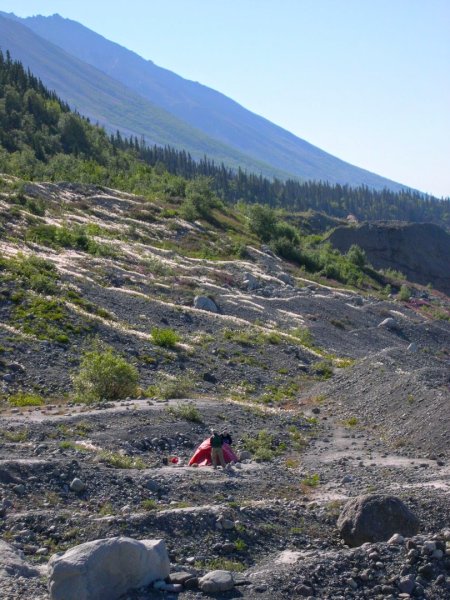 阿拉斯加 Root Glacier 步道2636021