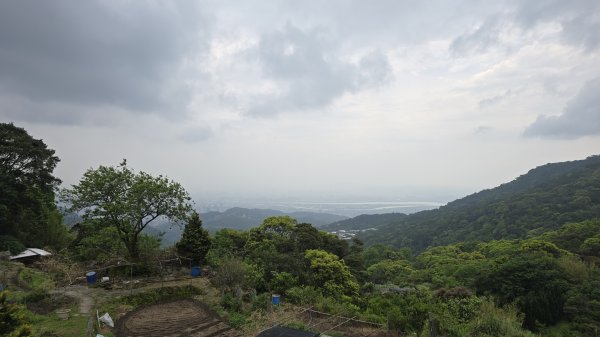 開箱猴崁古道，陽明山秘境，全新完工草山觀瀑吊橋2766375