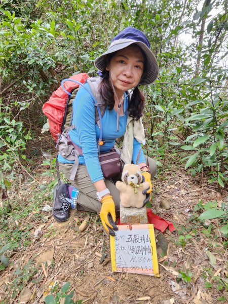 112/2/23龍鳳連稜2148170