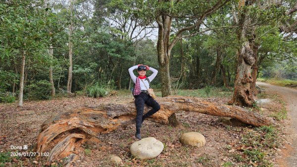 20260127三通嶺山.三義山(大桁茂山).慈濟山.大坪山大O走2989909