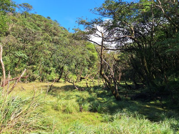 礁溪烘爐地山202509282900322