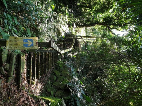 塘湖古道－金獅山－出水坑－交力坪山1732571