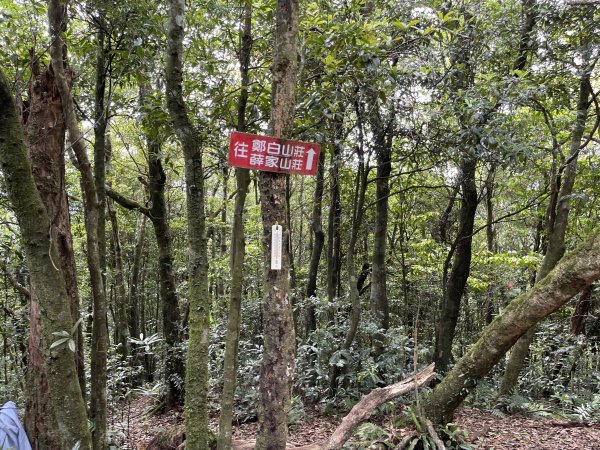 志繼山-東眼山-拉卡山-東滿步道-卡外山1706024