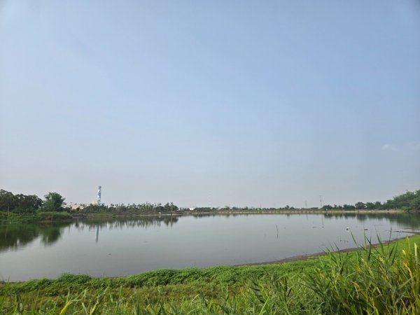 觀音湖3038272