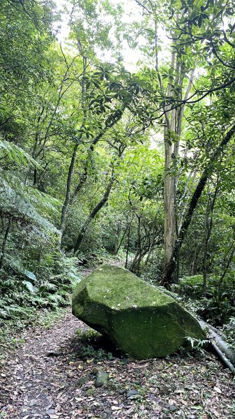 瑞芳三小山+貂山古道1438535