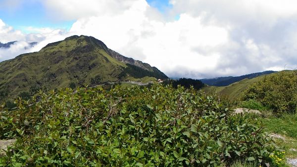 合歡山主峰、東峰、石門山及合歡尖山之行360950