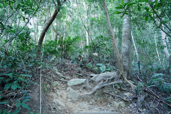 臺中 和平 白毛山、次郎山2670910