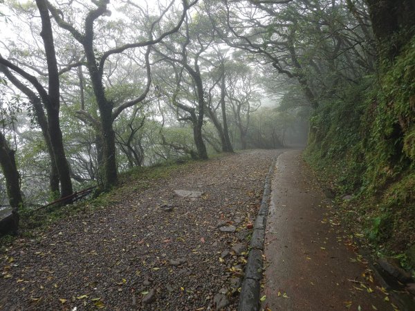 2026年臺北大縱走第一段：關渡至二子坪3010874