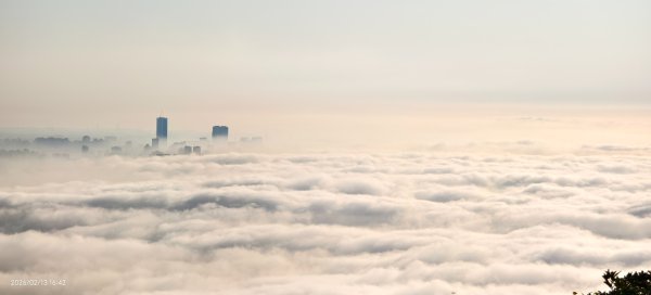 #觀音山 #雲海 #夕陽 #天空之城 #大赤鼯鼠（飛鼠） 2/132999433