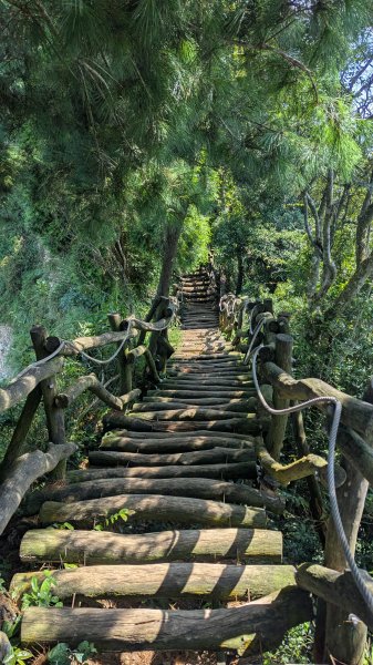 【台灣健行】台中大坑 5-1、5 頭嵙山2874073