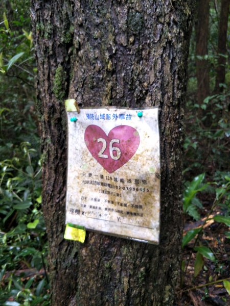 大崙頭山1299823