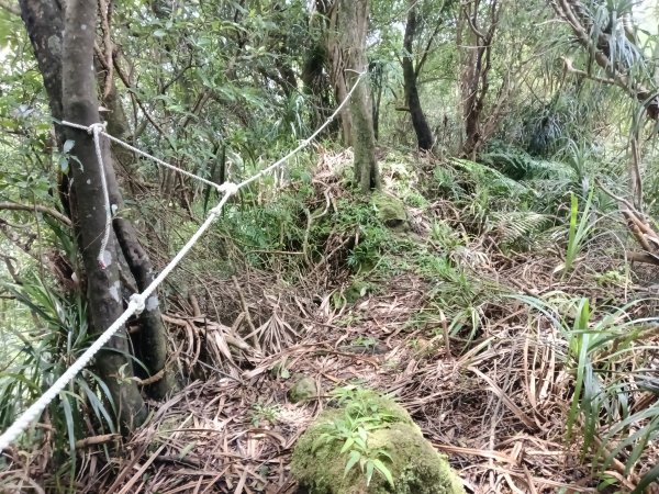 平溪區平溪子山遇雷雨O型2850131