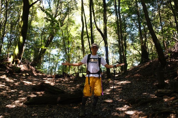 雪見大板根2924678