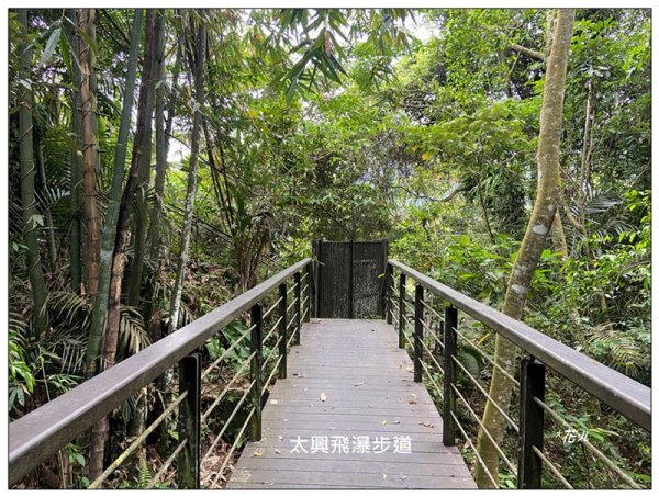 太興飛瀑 (嘉義 梅山)2924922