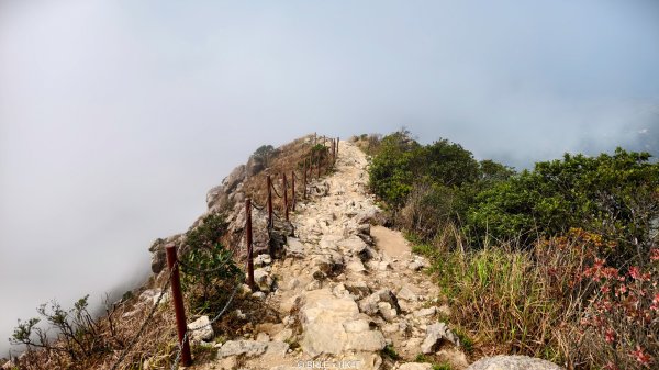 【海外健行】香港四徑 The Four Trails3031670