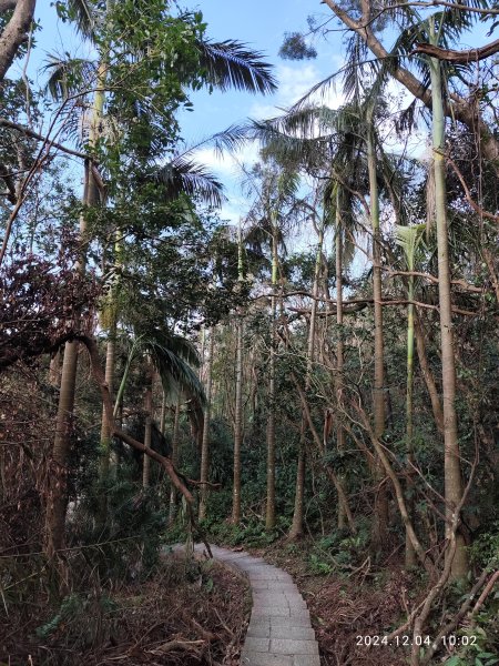 【臺北大縱走 6】中華科大→九五峰→南港山→拇指山→妙高臺→糶米古道→忠正嶺安祿宮→世界山莊→軍功山2662741