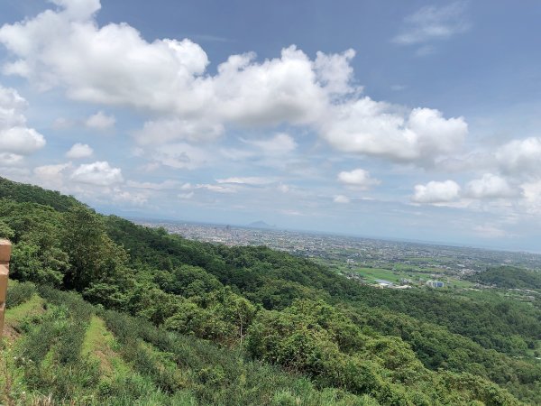 ~  中 山 茶 園 步 道  ~2580975