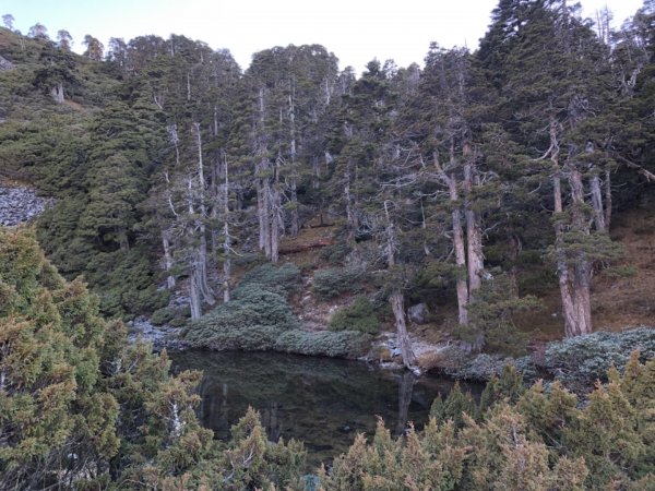 雪山西稜+大安溪神木553207