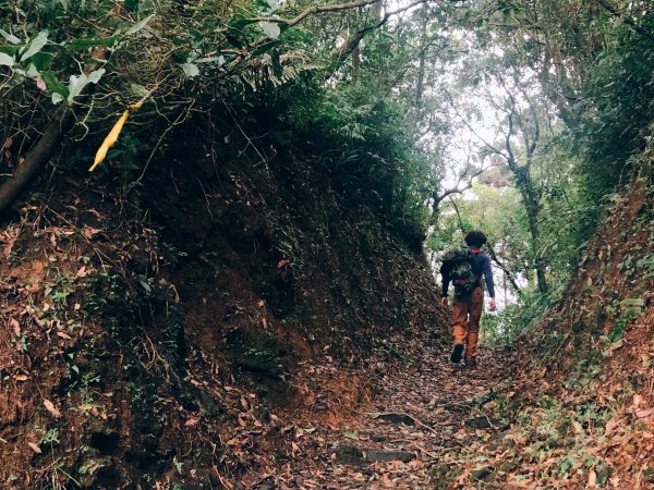 鴨寶｜淡蘭中路：十分─泰平1243755