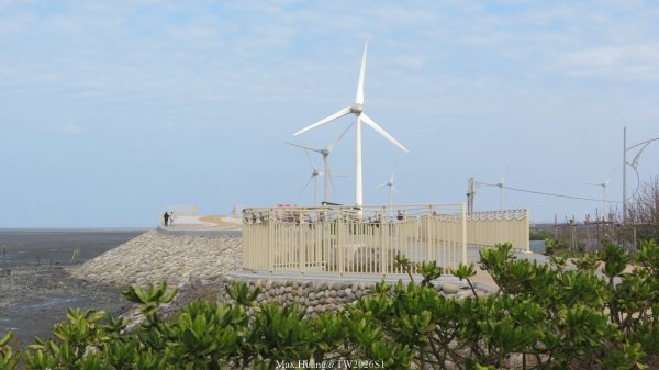 《彰化》海空夕照｜王功燈塔及芳苑海空步道健行賞冬候鳥202601102980283