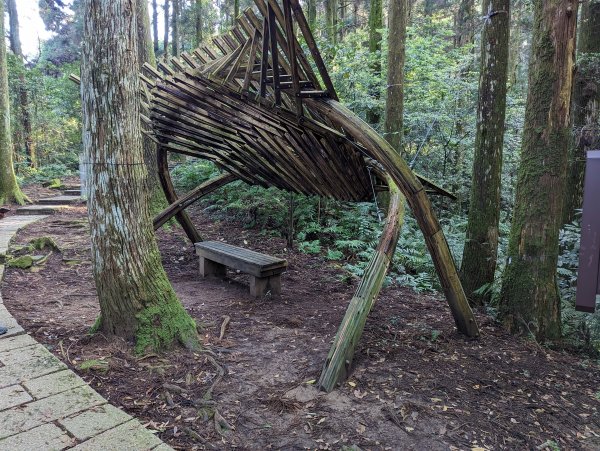 2023-04-03 東眼山自導式步道2792649