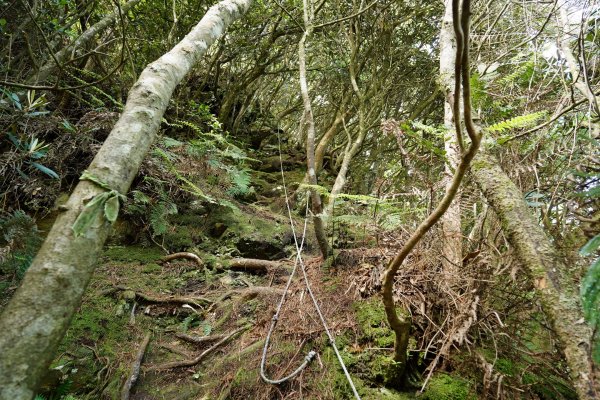 新竹 五峰 油羅山、霞山2798282