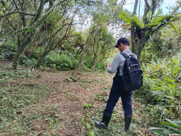 頭城鎮外大溪山+七兄弟山+窖寮山O型3016007