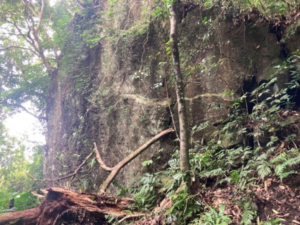 五指山登山步道2293208