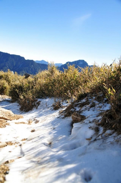 山岳之美-2014／1／23合歡東峰-4度喔6266