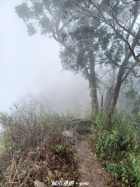 【台南。 南化】迷霧山徑。 小百岳集起來。 編號70小百岳~刣牛湖山登山步道1610478