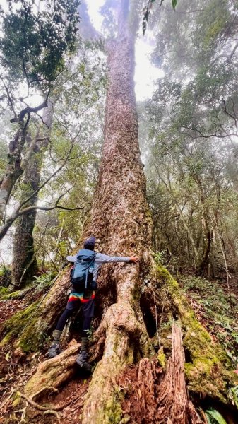 🌈9/7（日）夫拉縱走（夫婦山縱走拉拉山）✨FB：熊熊趴爬走🌈2880921