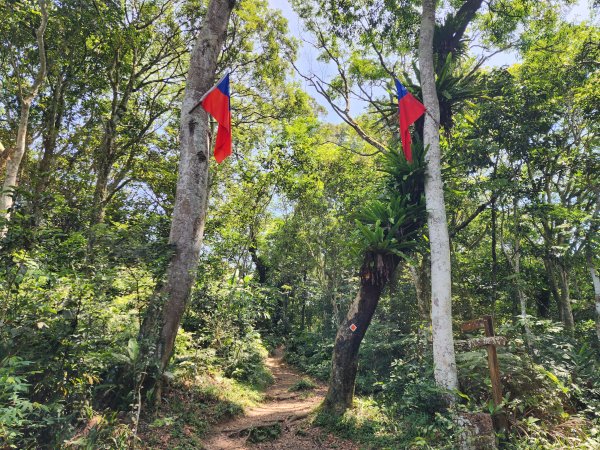 小百岳No.23⛰溪洲山2506995