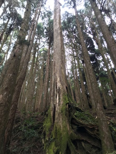 特富野古道903214