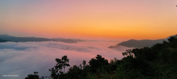 #坪林 #火燒雲 #日出 #雲海 #觀音圈 #金山 #花鳥蝶 6/3&4&163068870