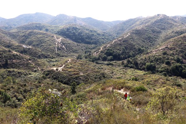 HK - 青山復地1482580