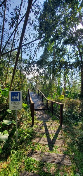 2025-01-30迷糊步道2704450