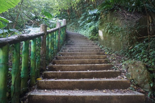 臺北大縱走7：幽徑踏青探仙神1255226